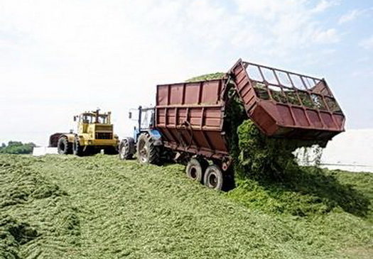 О заготовке кормов сельскохозяйственными организациями Комсомольского района