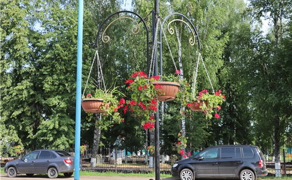 В юбилейный год село Комсомольское украшают более десятка тысяч цветов