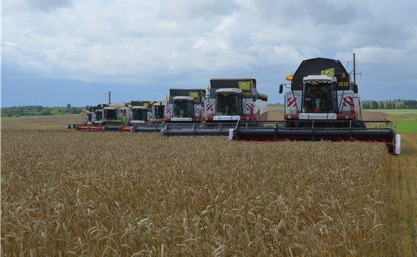 Уборка зерновых и зернобобовых культур идет в хозяйствах 18 муниципальных районов республики