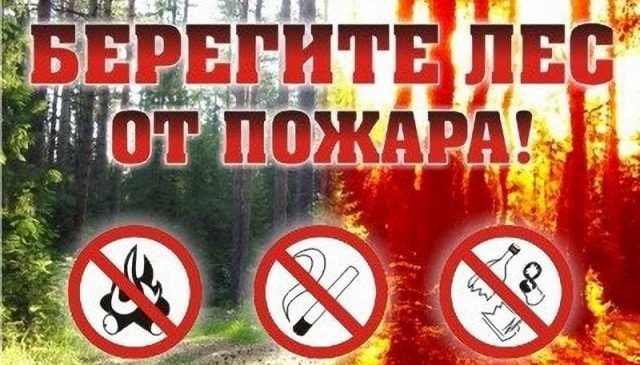 Чебоксарская межрайонная природоохранная прокуратура разъясняет правила пожарной безопасности в лесах