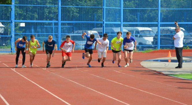 Всероссийская федерация школьного спорта планирует проводить мастер-классы для специалистов Чувашии