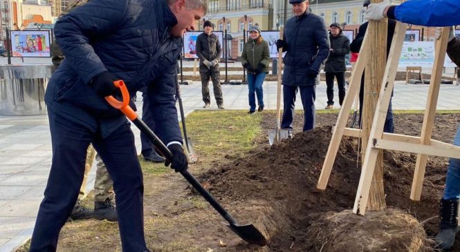 Олег Николаев высадил дуб на Красной площади Чебоксар