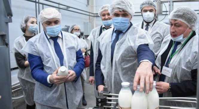 В Чувашии появился новый цех по розливу козьего молока