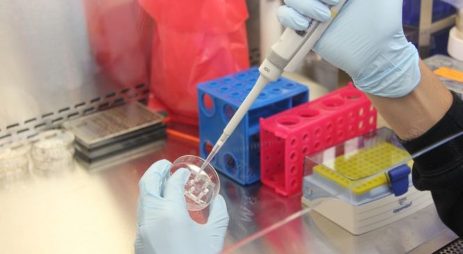 Анализы на коронавирус делают в 11 лабораториях Чувашии