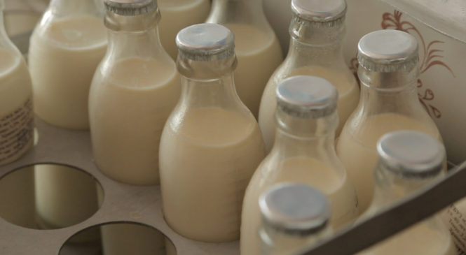 В Чувашии планируют расширять производство продуктов для детской молочной кухни