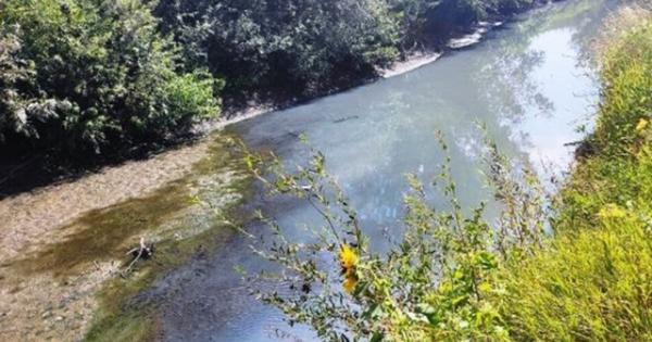 Минприроды обследует загрязнение реки Булы