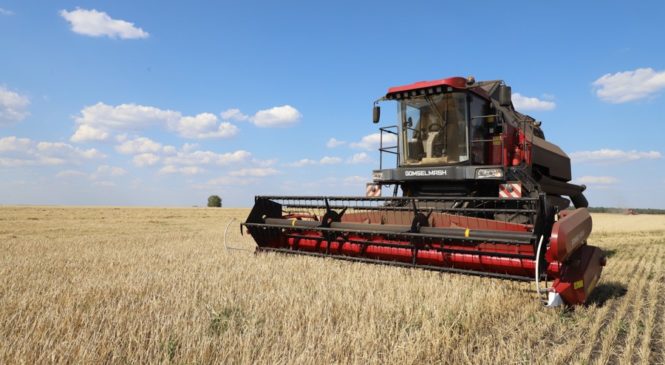 В колхозе «Урожай» продолжается уборка зерновых культур