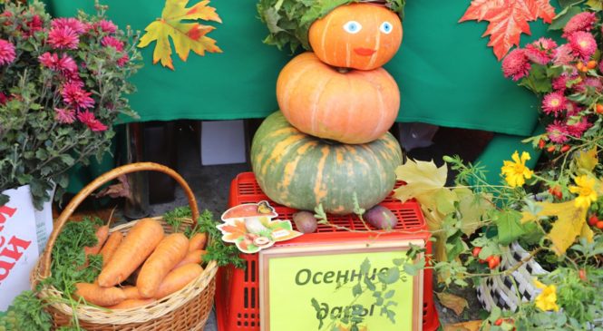 В Комсомольском муниципальном округе сегодня состоялось открытие сельскохозяйственной ярмарки «Дары осени-2023»