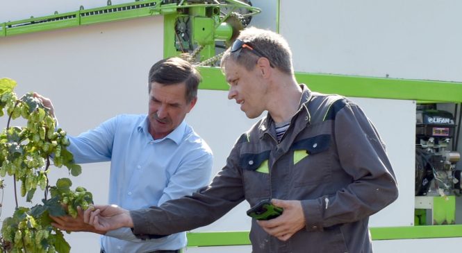 Проект молодого ученого из Чувашии «Агроинновации для выращивания ячменя и хмеля в России» стал лучшим в стране