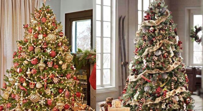 Как выбрать новогоднюю елку?