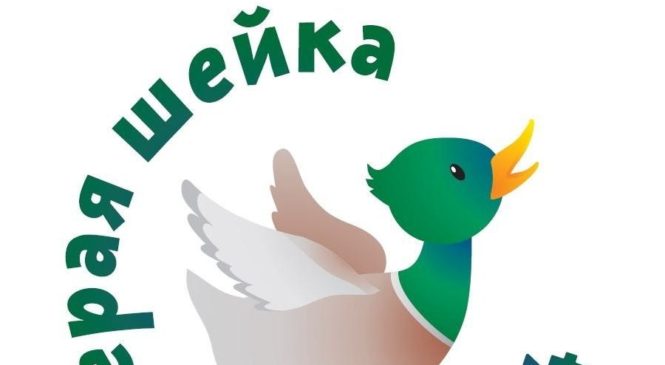 Всероссийская акция «Серая шейка-2024»: подсчитаем водоплавающих птиц