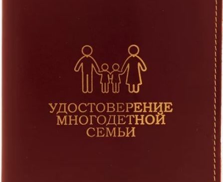 Удостоверение многодетной семьи в Чувашии стали выдавать в 7,5 раз быстрее