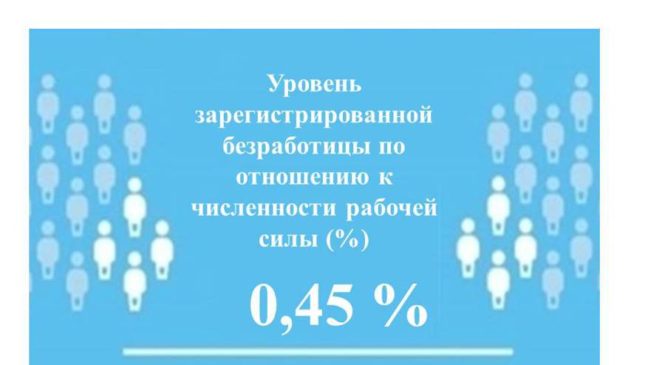 Уровень регистрируемой безработицы в Чувашии составил 0,45 %