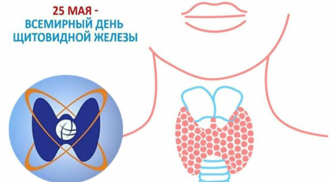 25 мая — Всемирный день щитовидной железы.