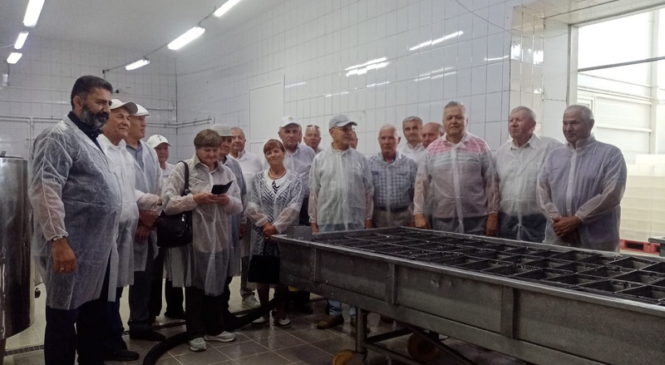 Продукцийӗ тутлӑ, паха