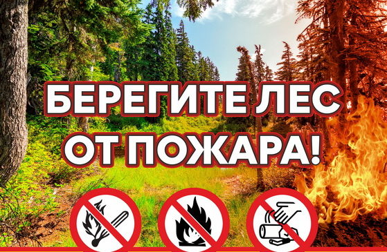 Вӑрманти пушар хӑрушӑ
