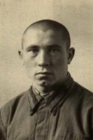 Пурнӑҫне ҫӗршыв ирӗклӗхӗшӗн панӑ
